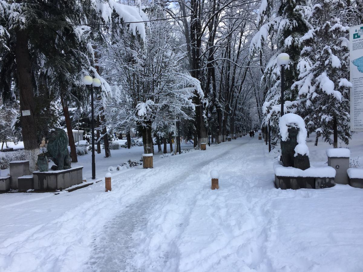 Natali'S House Διαμέρισμα Borjomi Εξωτερικό φωτογραφία