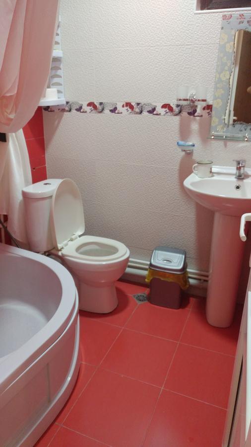 Natali'S House Διαμέρισμα Borjomi Εξωτερικό φωτογραφία